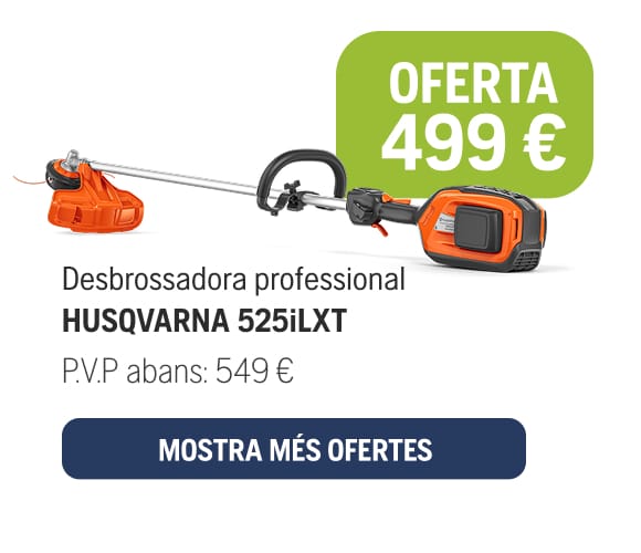 01_525iLXT